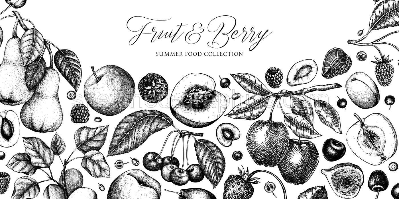 Berry and fruit tree background. Hand drawn cherry, plum, apple, peach, apricot, fig, strawberry in sketch style. Healthy food banner template in vintage style. Illustration